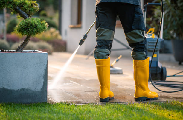 Best Roof Pressure Washing  in Redan, GA